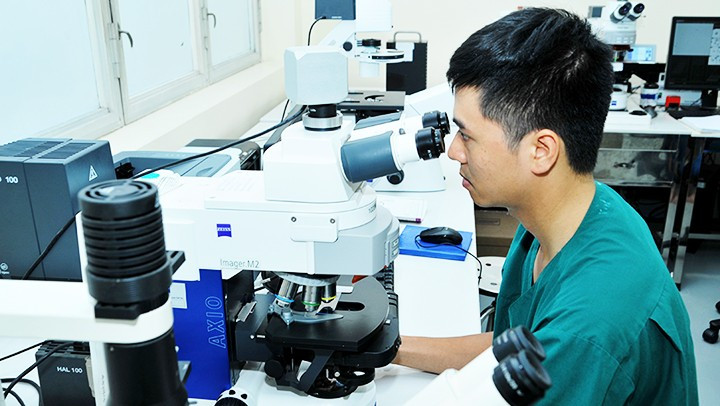Excessive time is spent on administrative procedures to disburse funding for scientific research. Photo: NAM ANH