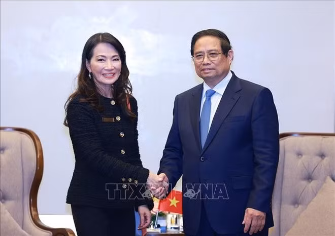 Prime Minister Pham Minh Chinh (R) receives Jareeporn Jarukornsakul, Chairwoman of WHA Group (Thailand). (Photo: VNA)
