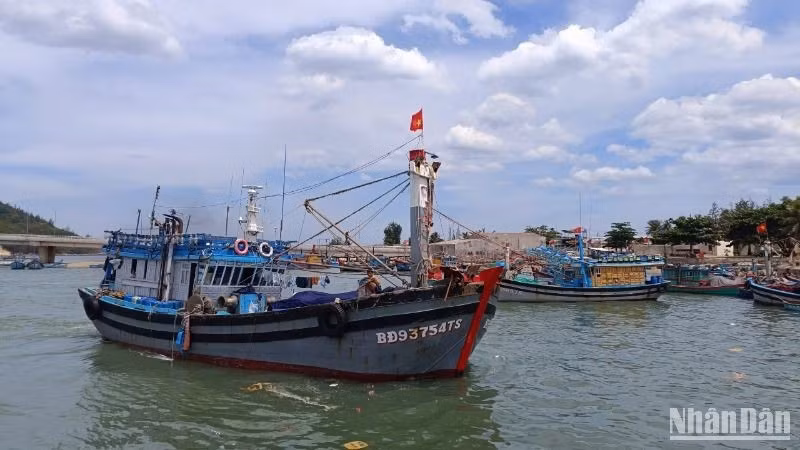 Fishing vessels of more than 15 metres must have a stable vessel monitoring system (VMS) before leaving port.