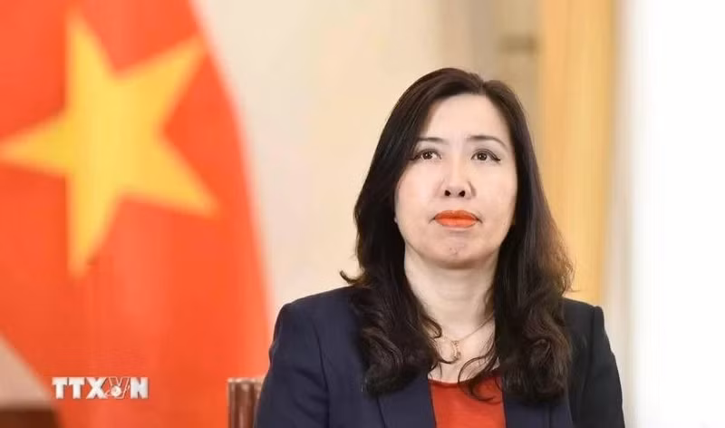Vietnamese Deputy Minister of Foreign Affairs Le Thi Thu Hang (Photo: VNA)
