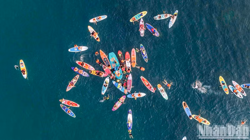 SUP boards bloom like “petals” on the sea surface.
