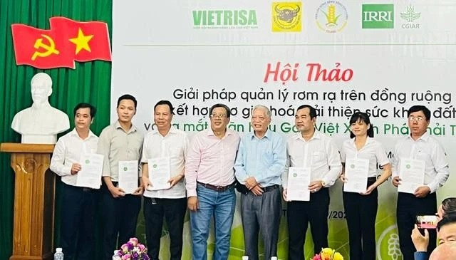 Representatives from companies receive certificates of trademark rights at the launch of the "Green and Low-Emission Vietnam Rice" trademark. (Photo: nld.com.vn)