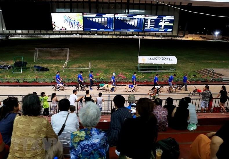 Spectators watch a greyhound race at the Vung Tau greyhound race track.