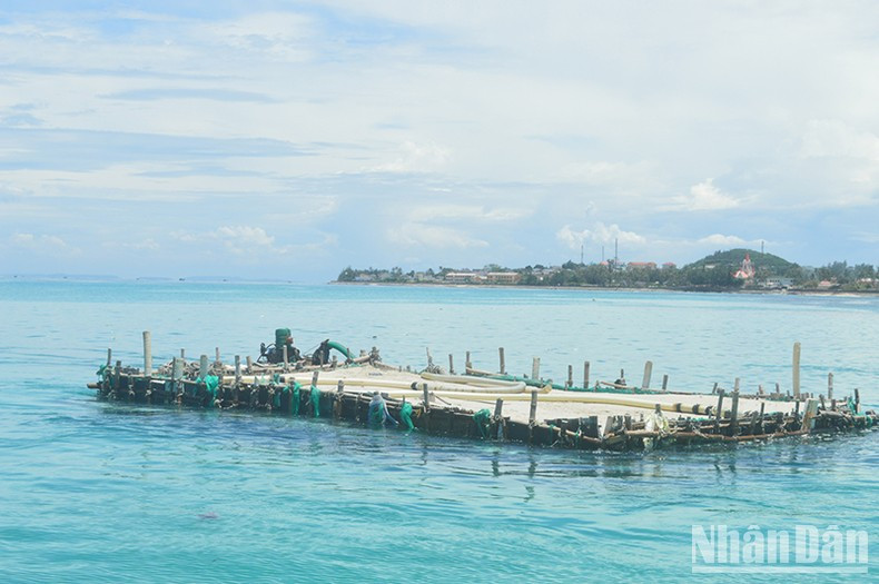 Sand mining for onion and garlic cultivation is affecting coral reefs and seagrass beds. Sand mining for onion and garlic cultivation is affecting coral reefs and seagrass beds.
