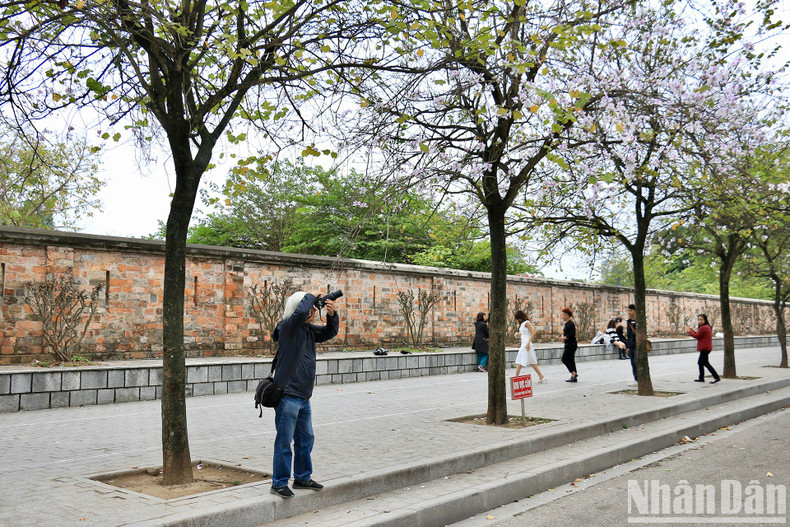 A photographer is working to capture the beauty of the flowers in spring.