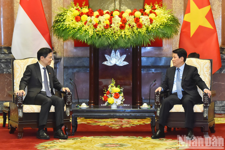 President Luong Cuong receives Singaporean PM Lawrence Wong.