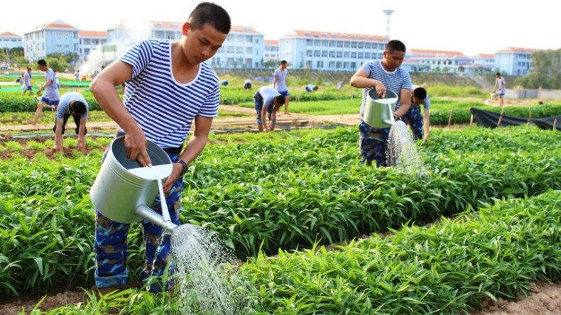 New soldiers are engaged in production activities to improve their living standards.