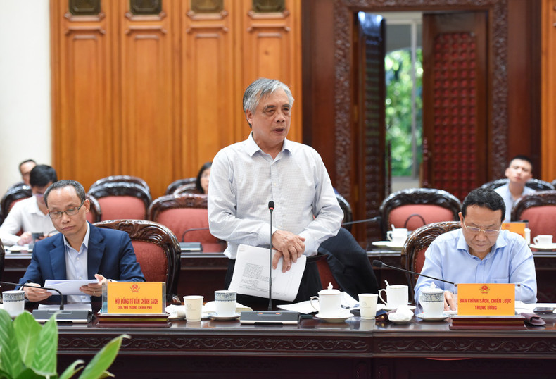 Economist Tran Dinh Thien speaks at the meeting.