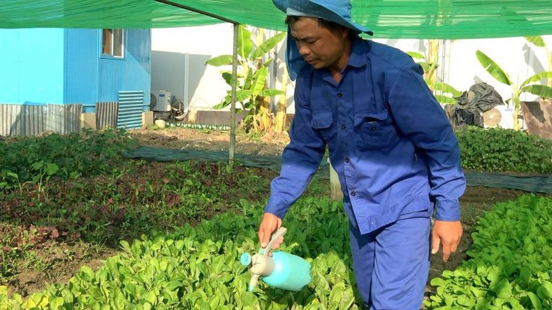 The Vietnamese military engineers create natural pesticides from ingredients such as orange peel, chillies, onions and garlic, ground and diluted to repel insects, protecting crops in an environmentally friendly manner.