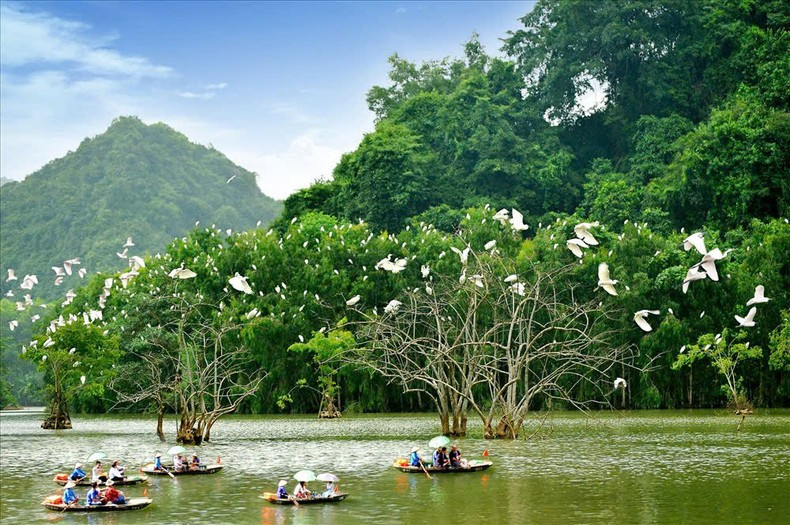 Nature at Thung Nham Eco-Tourism Area. (Photo: Truong Huy) Nature at Thung Nham Eco-Tourism Area. (Photo: Truong Huy)