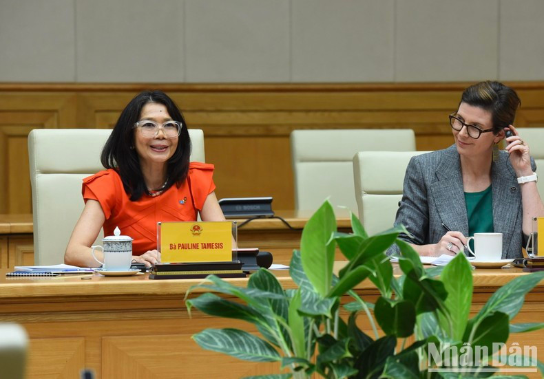 UN Resident Coordinator Pauline Tamesis says the UN is proud to accompany Vietnam.