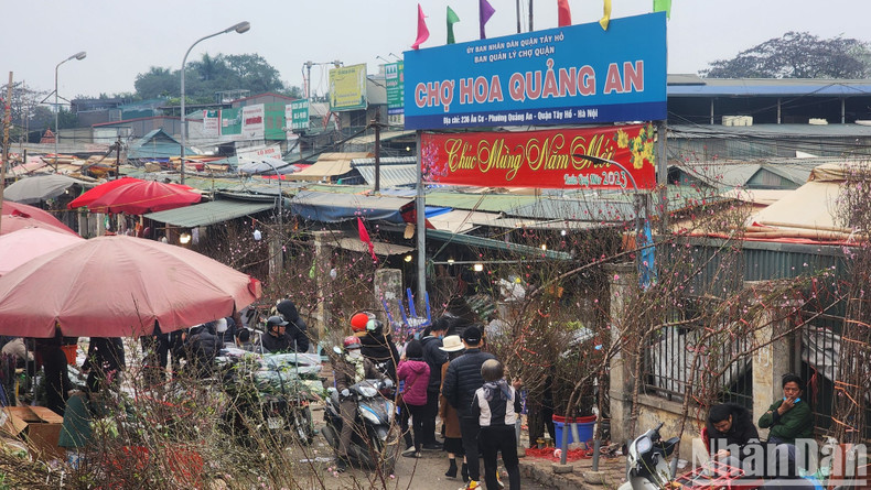 Quang Ba is regarded as the largest marketplace for fresh flowers in Hanoi and the capital city’s only night flower market.