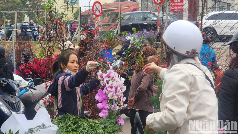 Orchid flowers are also a favourite flower for Tet.