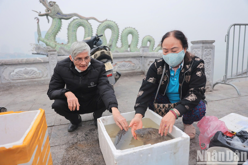 Besides goldfish, many people also released large carp, hoping for good fortune and peace. Besides goldfish, many people also released large carp, hoping for good fortune and peace.