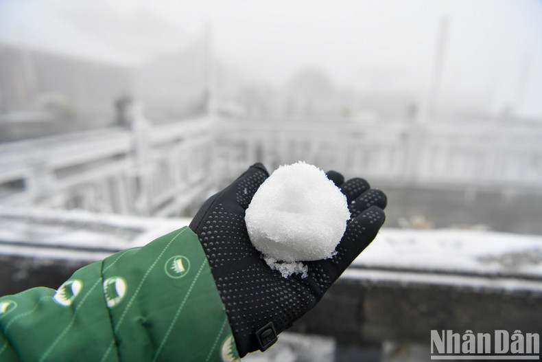 A tourist plays with a snowball. A tourist plays with a snowball.