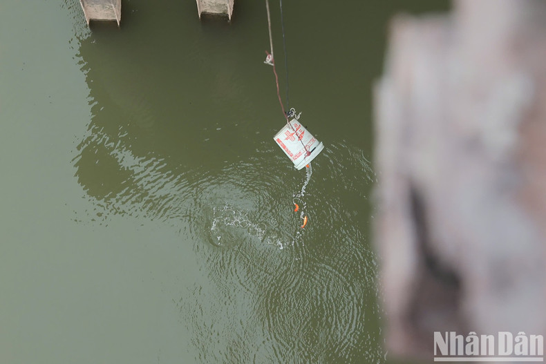 At an appropriate distance, the fish were safely released. At an appropriate distance, the fish were safely released.