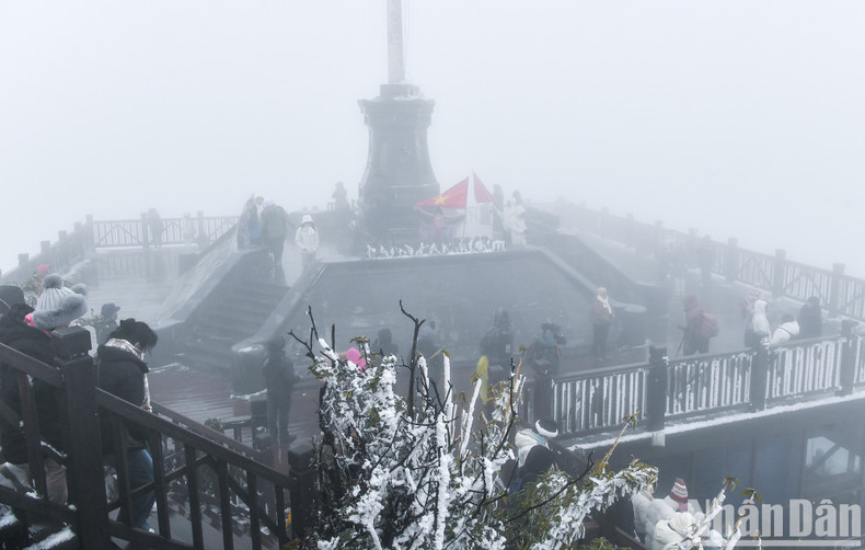 Visitors flock to Mount Fansipan to see snow. Visitors flock to Mount Fansipan to see snow.