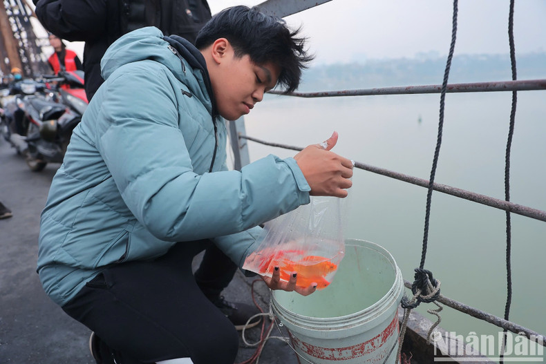 Volunteers set up plastic buckets at the bridge with long pulley ropes to help people release carp into the Red River. Volunteers set up plastic buckets at the bridge with long pulley ropes to help people release carp into the Red River.