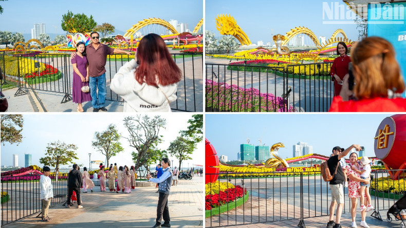 Many in Da Nang are taking the opportunity to capture photos before the Bach Dang flower street officially opens. Many in Da Nang are taking the opportunity to capture photos before the Bach Dang flower street officially opens.