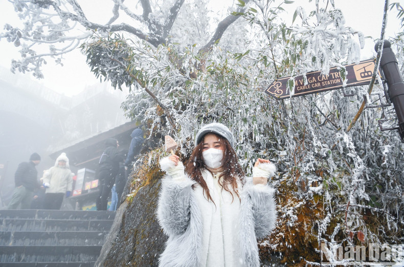 Visitors pose for photos with snow and frost. Visitors pose for photos with snow and frost.