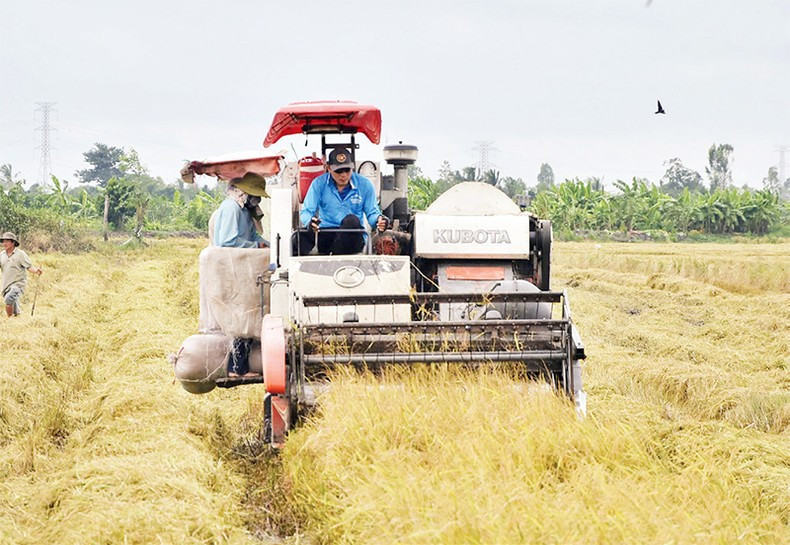 Farmers harvest rice by machine in Hau My Bac A Commune, Cai Be District, Tien Giang Province. (Photo: Nguyen Su) Farmers harvest rice by machine in Hau My Bac A Commune, Cai Be District, Tien Giang Province. (Photo: Nguyen Su)