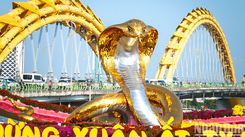 With its majestic design, the snake statue on Bach Dang flower street is modelled after a cobra. It stands 5 metres tall, with a hood width of 2.6 metres, and its coiled body spans an area of 6.35 by 4.6 metres. With its majestic design, the snake statue on Bach Dang flower street is modelled after a cobra. It stands 5 metres tall, with a hood width of 2.6 metres, and its coiled body spans an area of 6.35 by 4.6 metres.