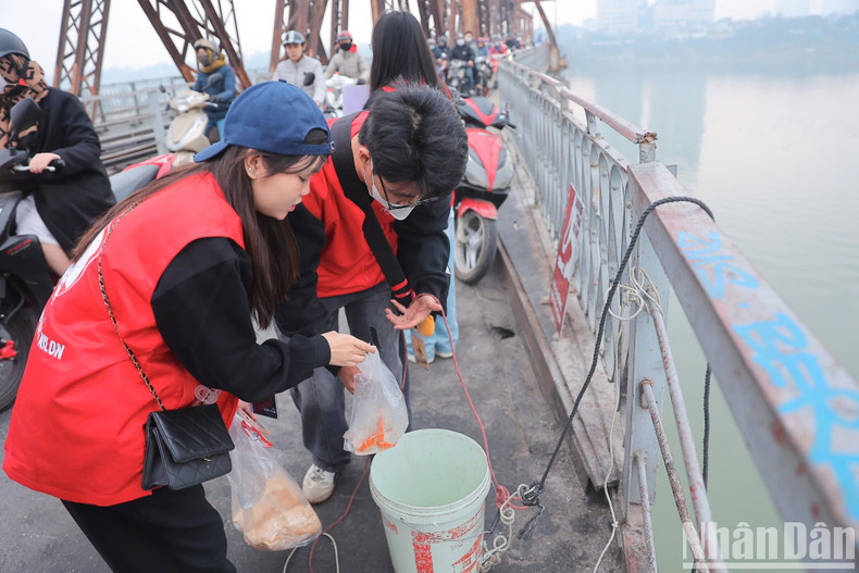At Long Bien Bridge, volunteer groups arrived early to assist people with releasing carp while protecting the environment. At Long Bien Bridge, volunteer groups arrived early to assist people with releasing carp while protecting the environment.
