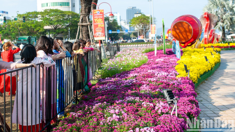 Although the flower street will not officially open until January 25, many residents and tourists have been eager to experience it. Although the flower street will not officially open until January 25, many residents and tourists have been eager to experience it.