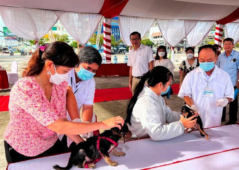 Residents bring their dogs to the event for a free vaccination.