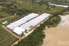 A corner of Chapor Farm in Ma Ty Village, Bac Ai Tay Commune, Khanh Hoa Province. (Photo: NGUYEN TRUNG)