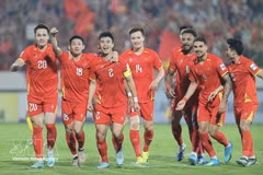 Viet Nam back in world Top 100 after nine-place jump (Photo: VNA)