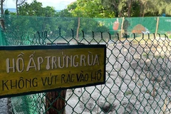 Con Dao is one of the most important sites in Viet Nam for sea turtle conservation programmes. (Photo: DINH NAM)