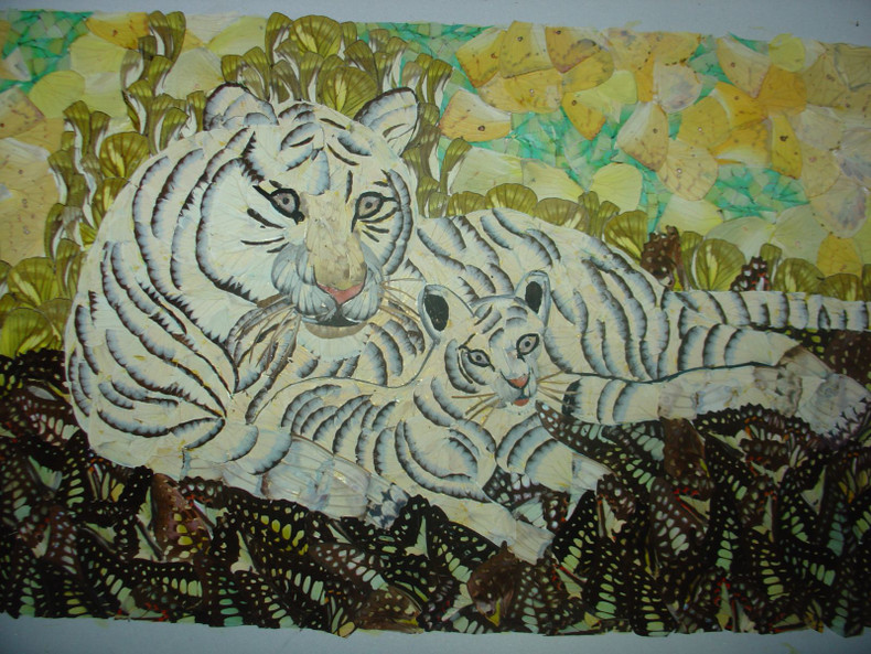 Artisan makes art from butterfly wings ảnh 3 Artisan makes art from butterfly wings ảnh 3