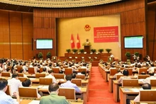 At the conference (Photo: VNA)