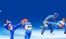 Vietnam Vovinam carries noble mission to 27th SEA Games