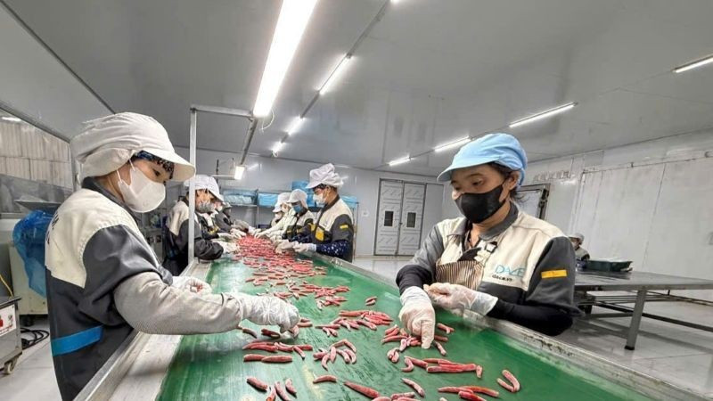 Private enterprises have invested in advanced agricultural processing lines to boost productivity and raise the value of exported goods.