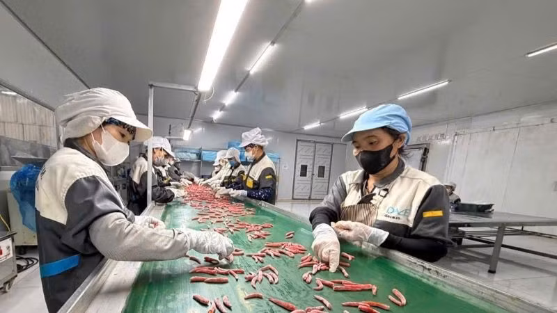 Private enterprises have invested in advanced agricultural processing lines to boost productivity and raise the value of exported goods.