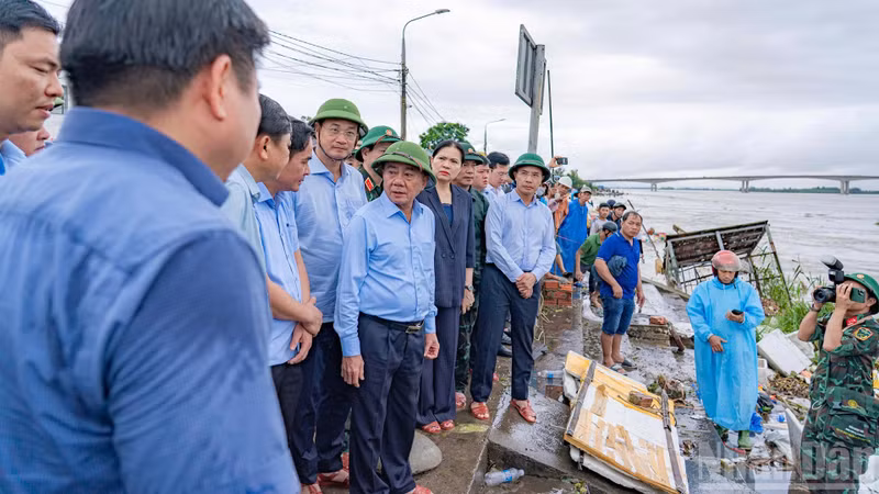 Politburo member and Permanent Member of the Secretariat Tran Cam Tu inspecting embankment erosion in Duy Nghia Commune.