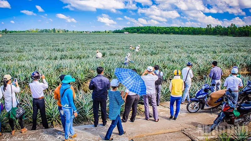 Tourists enjoy visiting the Khom Cau Duc community tourism village.