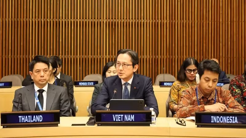 Ambassador Do Hung Viet, Permanent Representative of Viet Nam to the UN, chairs the seminar (Photo: VNA)