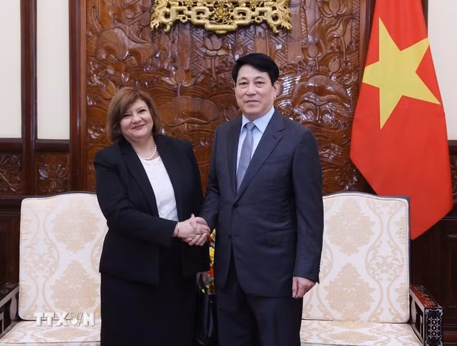 State President Luong Cuong (R) receives outgoing Egyptian Ambassador to Viet Nam Amal Abdel Kader Elmorsi Salama in Ha Noi on July 1, 2025. (Photo: VNA)