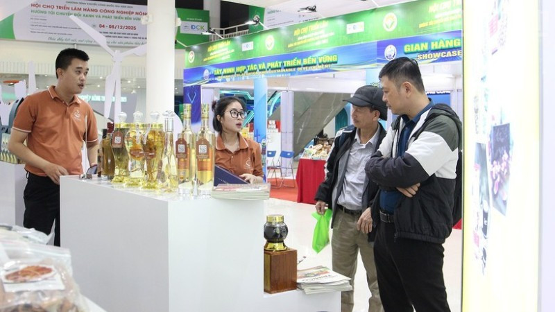 Visitors at the fair.