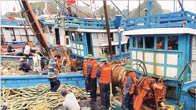 Boats in Hai Phong are secured as Typhoon Wipha approaches. (Photo: Hong Minh)