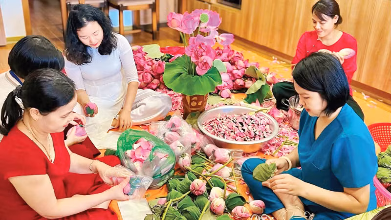 The Huong Thuy Lotus Tea Cooperative steps up production towards the year-end.