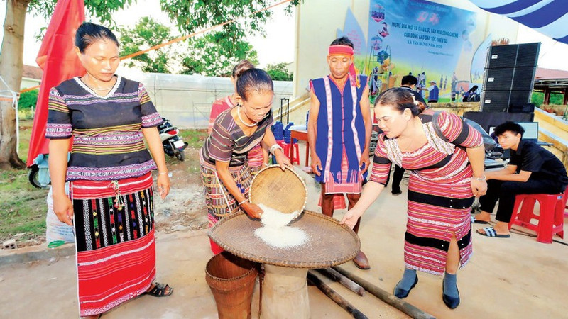 Members of the Xtieng ethnic group in Tan Hung Commune pound rice during the new rice festival.