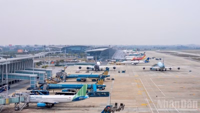 Vietnamese airlines are planning to cut certain domestic flights in response to the sharp increase in fuel prices.