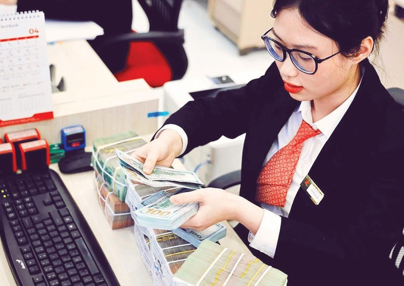 Viet Nam’s foreign currency market remains under control despite short-term fluctuations in exchange rates.