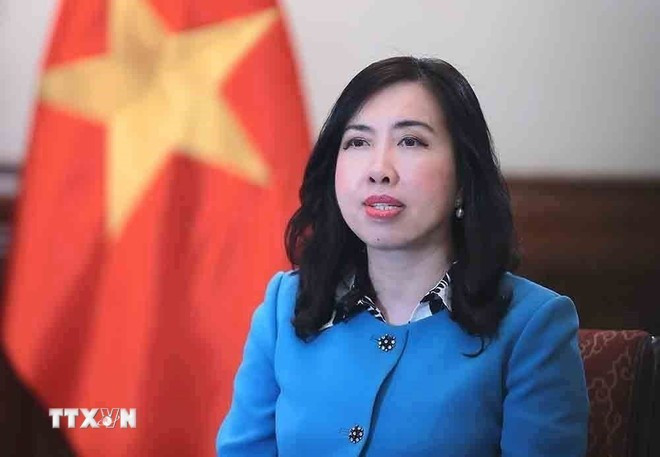 Deputy Minister of Foreign Affairs Le Thi Thu Hang. (Photo: VNA)