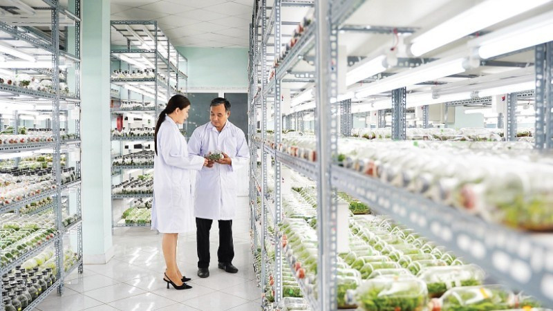 The plant tissue culture laboratory at the Ho Chi Minh City High-Tech Agricultural Park.
