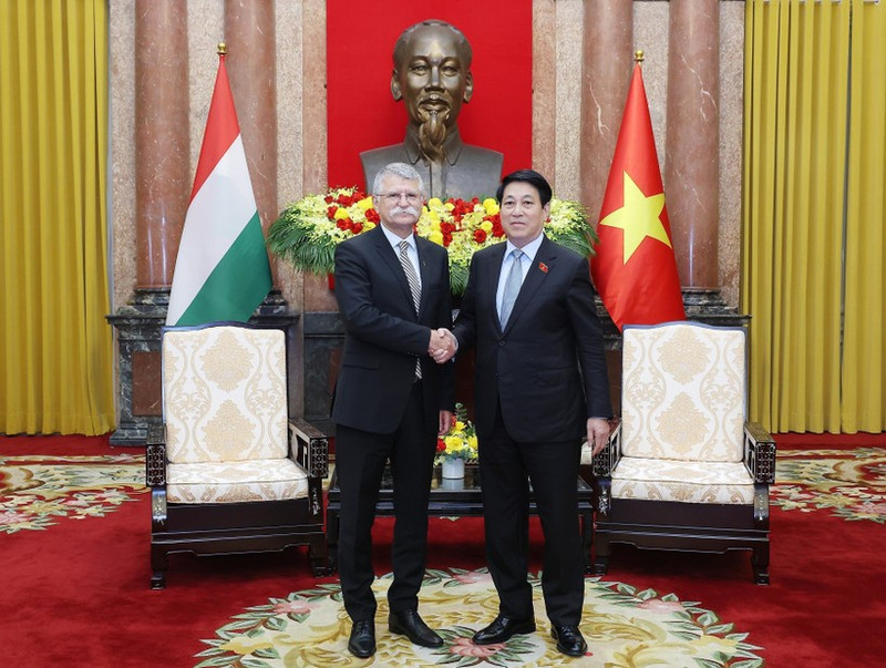 Vietnamese President Luong Cuong (R) and Speaker of the Hungarian National Assembly Kover Laszlo meet in Ha Noi on October 20. (VNA)